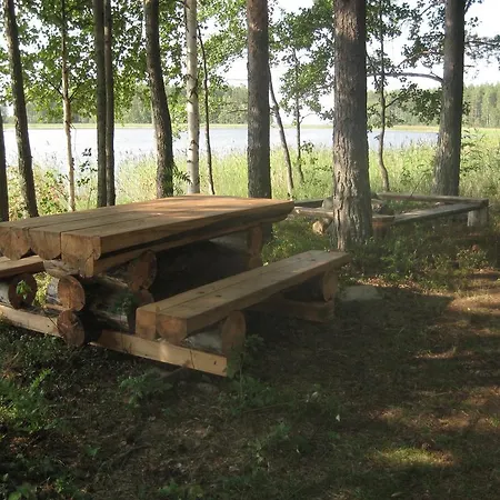 Nestorinranta Lintusalo