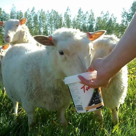 Nestorinranta Parque de vacaciones 3*