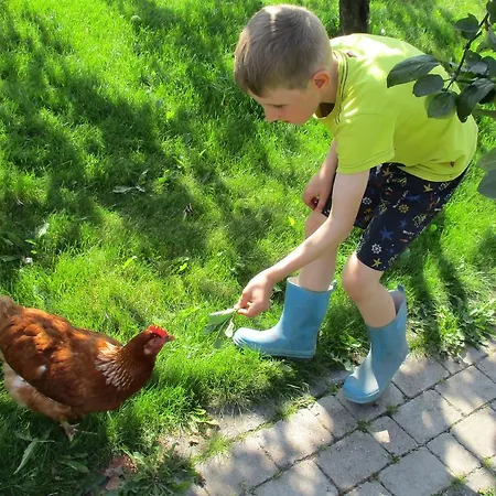 Parque de vacaciones Nestorinranta