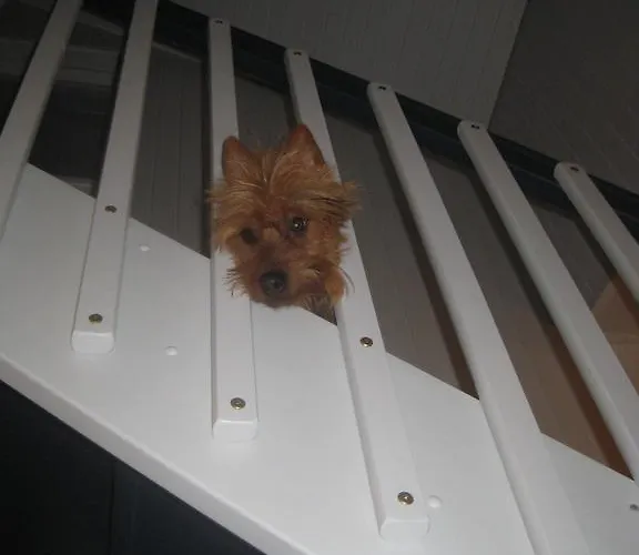 Nestorinranta ホリデーパーク Lintusalo