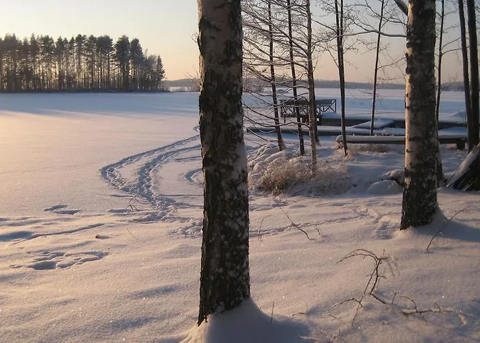 ホリデーパーク Nestorinranta 3*