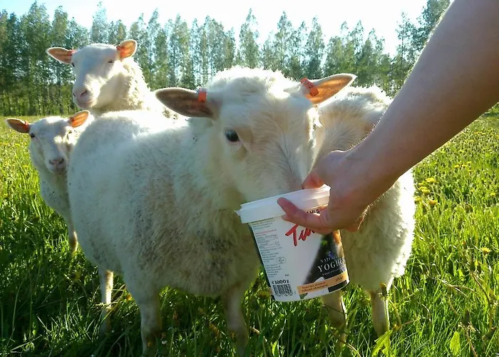 Nestorinranta ホリデーパーク 3*