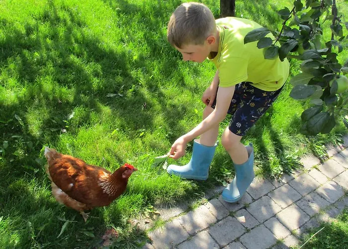 ホリデーパーク Nestorinranta